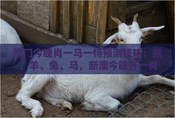 澳门今晚肖一马一恃预测技巧：猴、羊、兔、马，新澳今晚开一肖一特预测和神算子,2025年天天免费资料百度和5555555王大五,详细解答、专家解析解释与落实-警惕虚假诱导危害