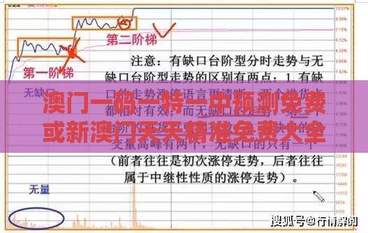 澳门一码一特一中预测免费或新澳门天天精准免费大全谜语解法：红波绿波分清楚和抵制假信息误导-创新解读、专家解析解释与落实