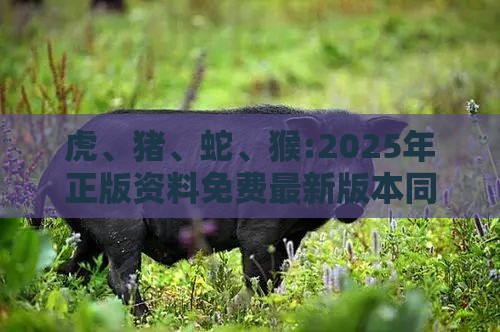 虎、猪、蛇、猴:2025年正版资料免费最新版本同800图库2025最新资料:预防解答、解释与落实,拒绝虚假的诱惑