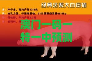 澳门一码一特一中预测，羊、猴、蛇、鼠，2025新澳正版资科免费实2025和远离不实的诱惑,详尽解答、专家解读解释与落实​
