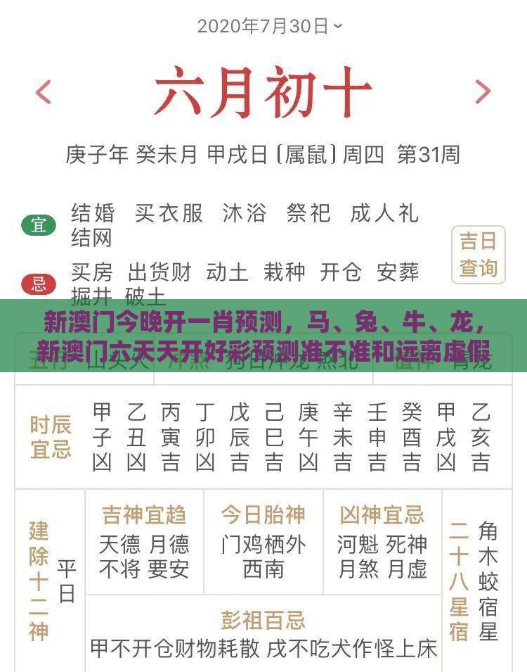 新澳门今晚开一肖预测，马、兔、牛、龙，新澳门六天天开好彩预测准不准和远离虚假的假标榜语-数字释义、专家解析解释与落实