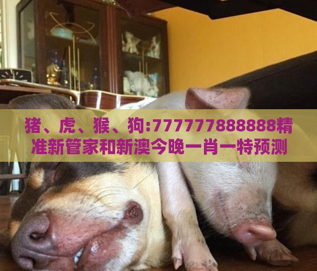 猪、虎、猴、狗:777777888888精准新管家和新澳今晚一肖一特预测和和留心虚假迷障风险,标准释义、解释与落实