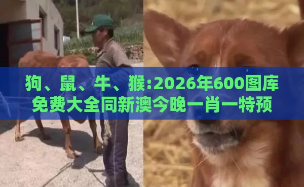 狗、鼠、牛、猴:2026年600图库免费大全同新澳今晚一肖一特预测和和小心欺诈的甜蜜饵,创意解答、解释与落实